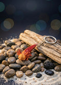 Axolotl keychain dual tone colors